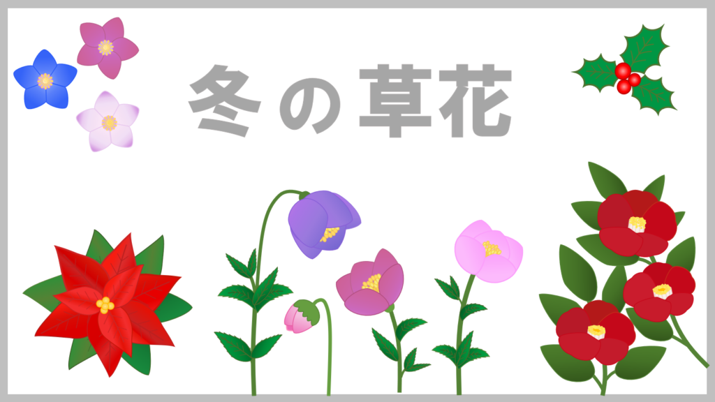 冬の草花-③