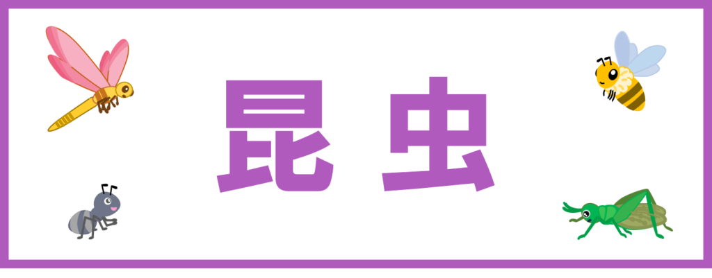 工房・サイドバー・さくいん・昆虫